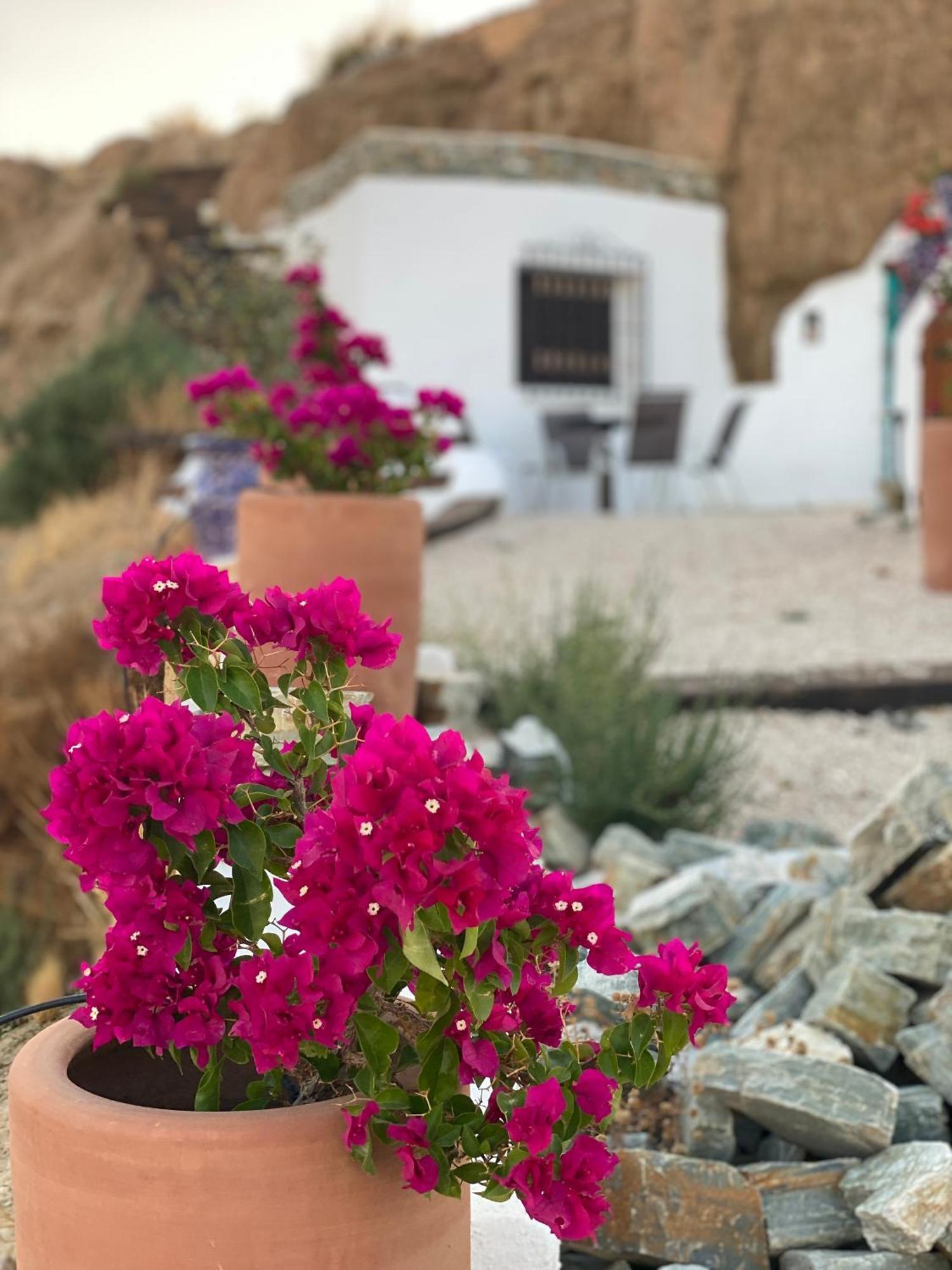 Cuevas Oro Y Arcilla Βίλα Γκουαδίξ Εξωτερικό φωτογραφία